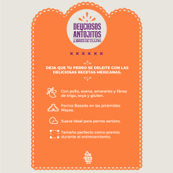 Antojitos Saludables