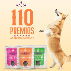 Antojitos Saludables