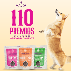 Antojitos Saludables