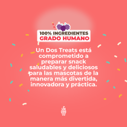 Piñata Galletas Horneadas