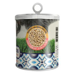 Pasto para Gatos