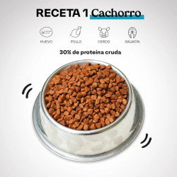 Alimento Receta 1 Cachorro 15kg