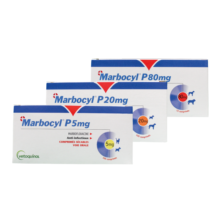 Marbocyl® P 20 mg