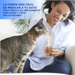 Inaba Churu Bote de 50 piezas Mix