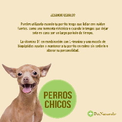 Premios Calmantes
