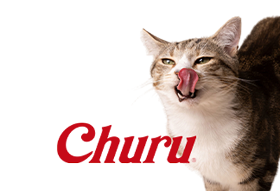 Snacks cremosos para gatos