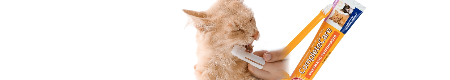 Kit de Limpieza dental